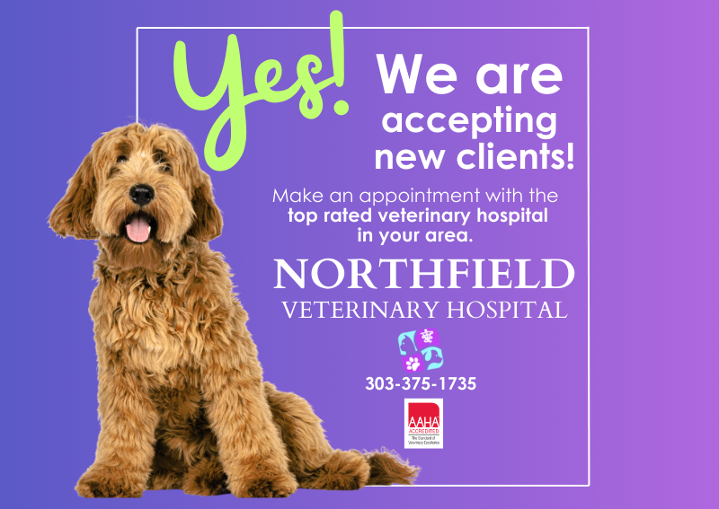 Carousel Slide 1: Yes, We are accepting new clients!