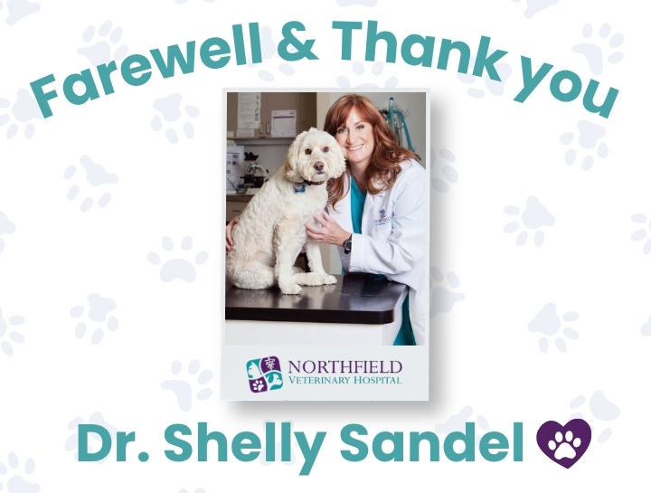 A Heartfelt Farewell to Dr. Shelly Sandel