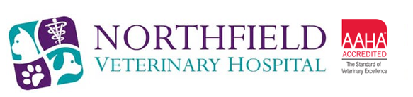 Link to Homepage of Northfield Veterinary Hospital